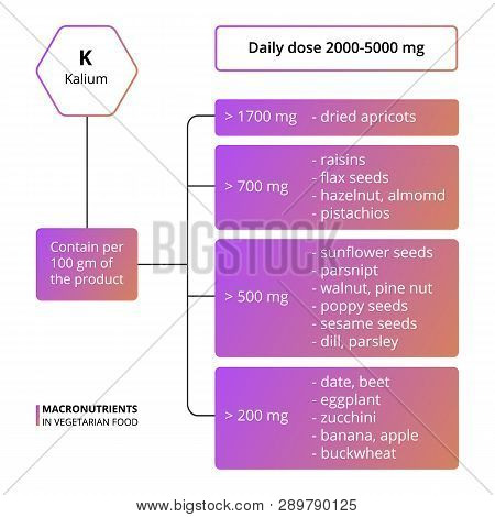 Vector Scheme Of The Nutrients, Vitamins And Minerals. Main Food Groups - Macronutrients. Daily Dose