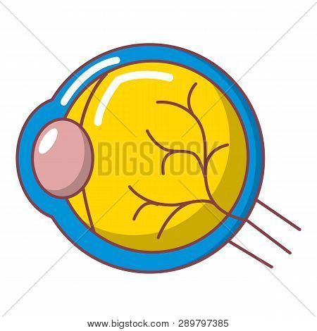 Human Eye Icon. Cartoon Illustration Of Human Eye Icon For Web Design Isolated On White Background