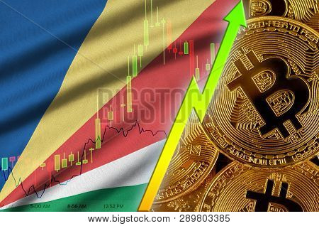 Seychelles Flag And Cryptocurrency Growing Trend With Many Golden Bitcoins
