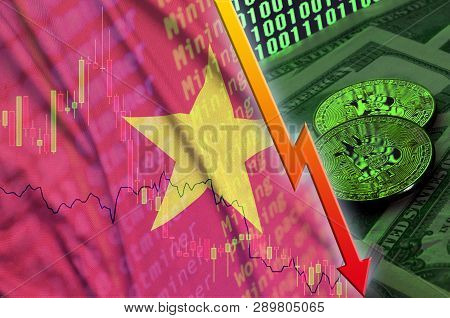Vietnam Flag And Cryptocurrency Falling Trend With Two Bitcoins On Dollar Bills And Binary Code Disp