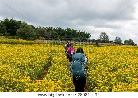 Inle Lake, Myanmar - 27 November, 2018: Wide Angle Picture Of Foreigners Tourists Doing Treeking To 