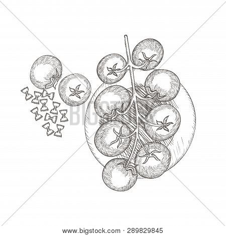 Delicious Pasta Italian With Tomatoes Isolated Icon Vector Illustration Desing