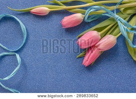 Pink Tulips With Blue Ribbon On Blue Glitter Background With Copy Space