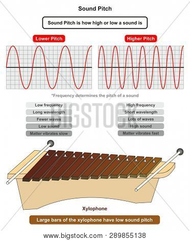 Sound Pitch infographic diagram showing comparison of high and low frequency sound waves also example of xylophone where large bars producing low sound pitch for physics science education