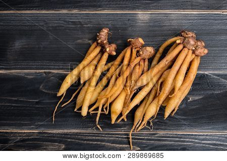 Finger Root