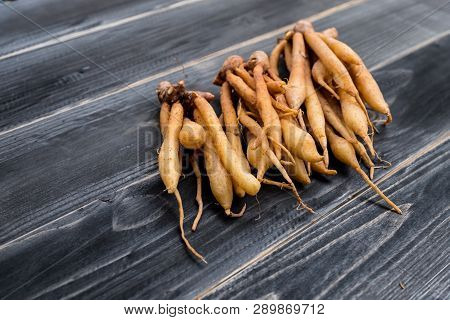 Finger Root