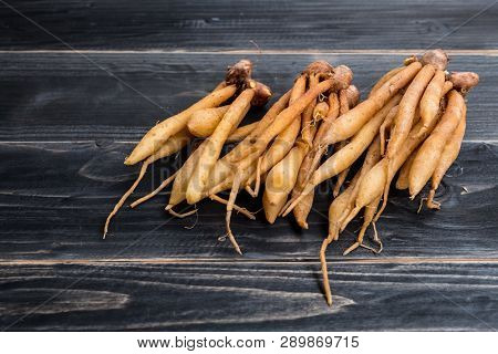 Finger Root
