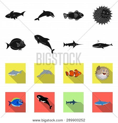 Vector Illustration Of Sea And Animal Sign. Collection Of Sea And Marine Stock Vector Illustration.