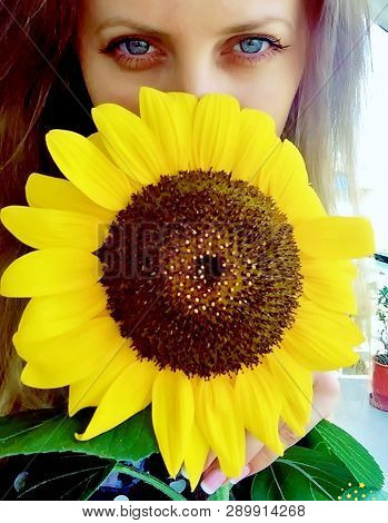 Beautiful Yellow Sunny Flower And Big Blue Eyes