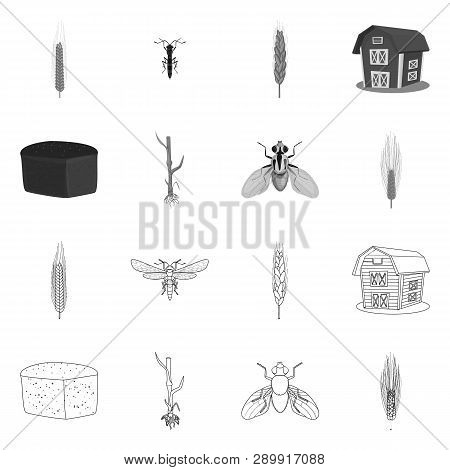 Vector Design Of Agriculture And Farming Icon. Set Of Agriculture And Plant  Vector Icon For Stock.