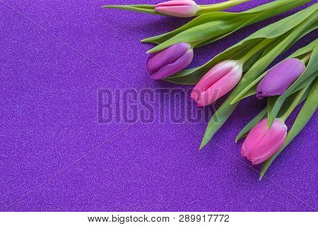 Purple And Pink Tulips On Purple Glitter Background With Copy Space