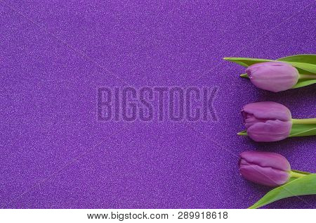 Purple Tulips On Purple Glitter Background With Copy Space