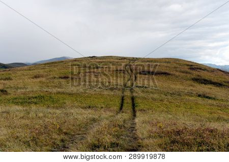 Autumn Foothills Of Altai. Western Siberia. Russia