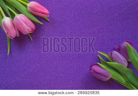 Purple And Pink Tulips On Purple Glitter Background With Copy Space