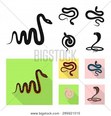 Vector Design Of Mammal And Danger Logo. Collection Of Mammal And Medicine Stock Vector Illustration