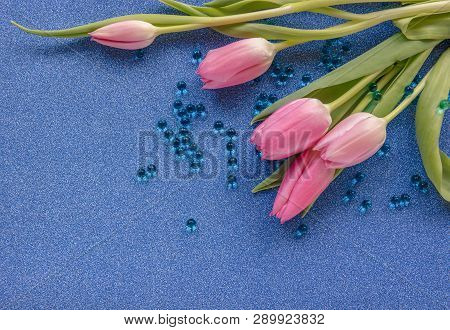 Pink Tulips With Blue Beads On Blue Glitter Background With Copy Space