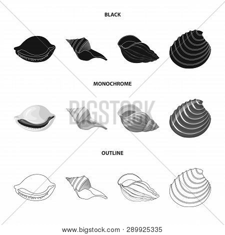 Vector Illustration Of Animal And Decoration Logo. Collection Of Animal And Ocean Vector Icon For St