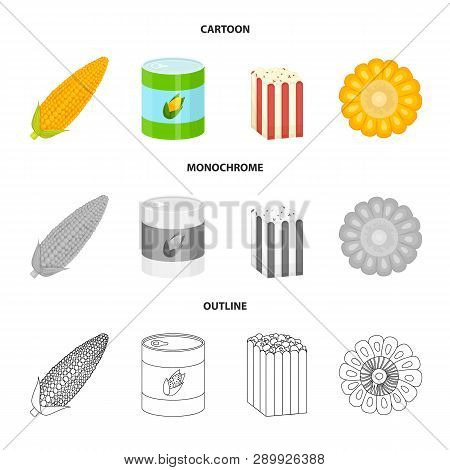 Isolated Object Of Cornfield And Vegetable Logo. Set Of Cornfield And Vegetarian Stock Vector Illust