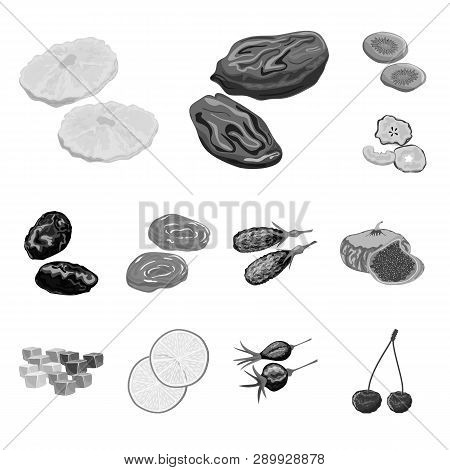 Vector Design Of Vitamin  And Nature  Logo. Collection Of Vitamin  And Dried  Stock Vector Illustrat