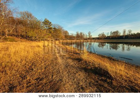 Small Lake In The Low Light Of The Setting Sun. The Photo Was Taken In The Dutch Nature Reserve Bosw
