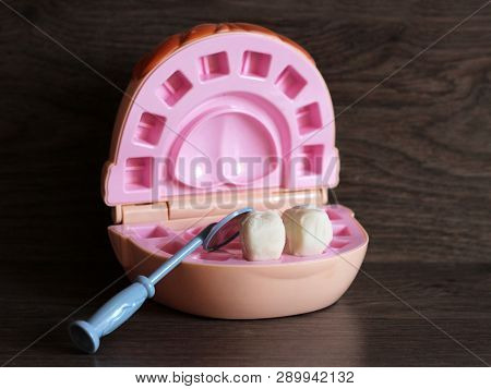 Teeth Model With Dental Tools, Toys On Wooden Background