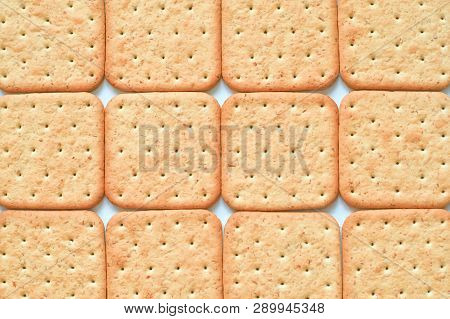Yellow Geometrical Background With Dozen Dotted Crackers