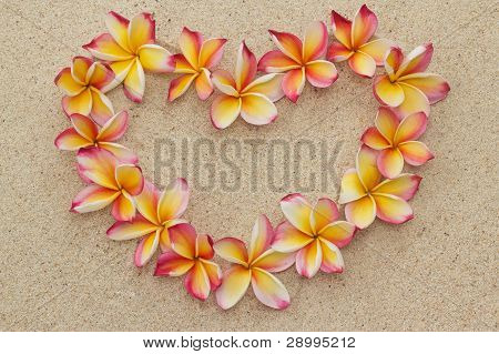 กรอบดอกไม้ลีลาวดี/บ้าน plumeria ในรูปหัวใจบนทราย