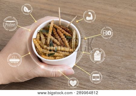 Bamboo Caterpillar Insects For Eating As Food In Disposable Cup With Icon Media Nutrition Concept On