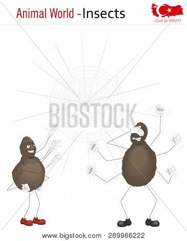 Animal World - Insects, Vector, Eps, Wild Life