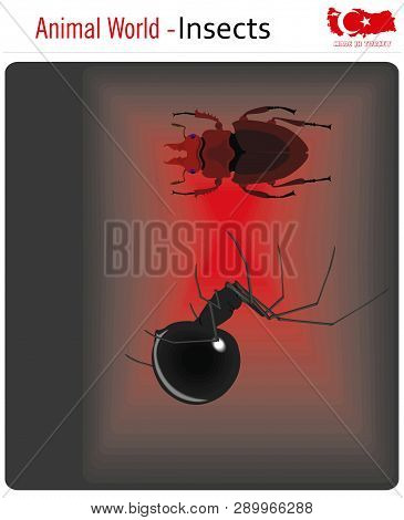 Animal World - Insects, Vector, Eps, Wild Life