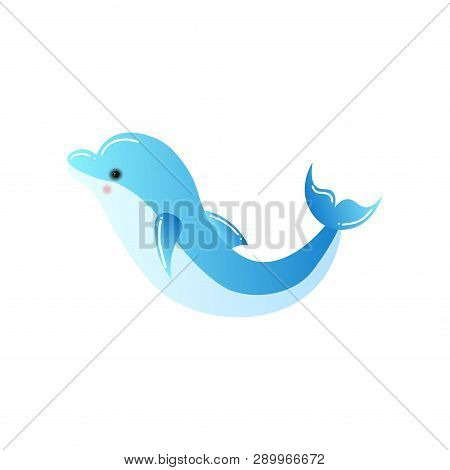 Bottlenose Dolphin Swimming Isolated On White Background
