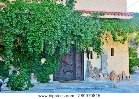 Big Wooden Door Of An Old Castle Overgrown With A Green Plant