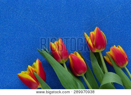 Red And Yellow Tulips On Blue Glitter Background With Copy Space