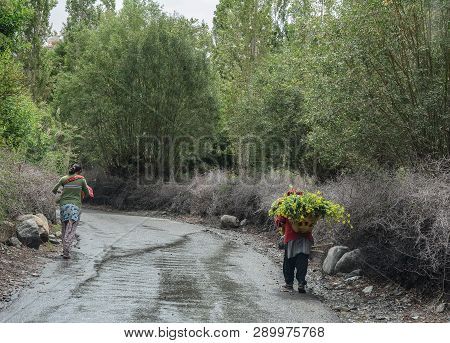 Tibetan People Walking On Rural Road