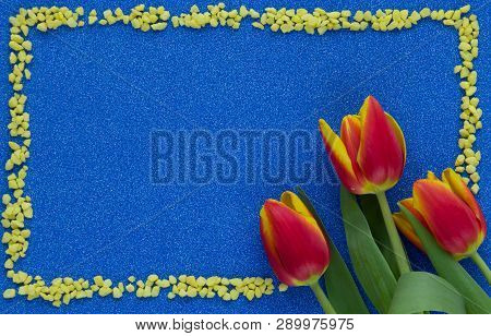 Red And Yellow Tulips On Blue Glitter Background With Copy Space