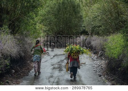Tibetan People Walking On Rural Road