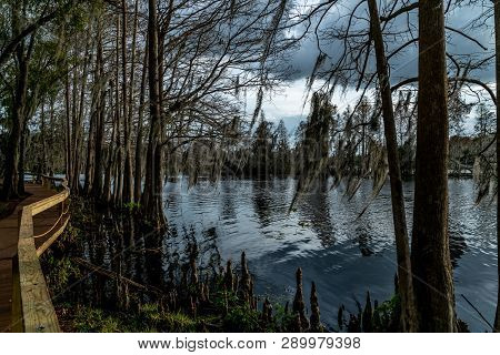 A Look Around The Majestic Riverhills Park On The Hillbourgh River In Tampa Florida.