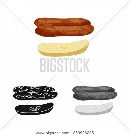 Vector Illustration Of Banana And Dry Icon. Set Of Banana And Tropical Vector Icon For Stock.