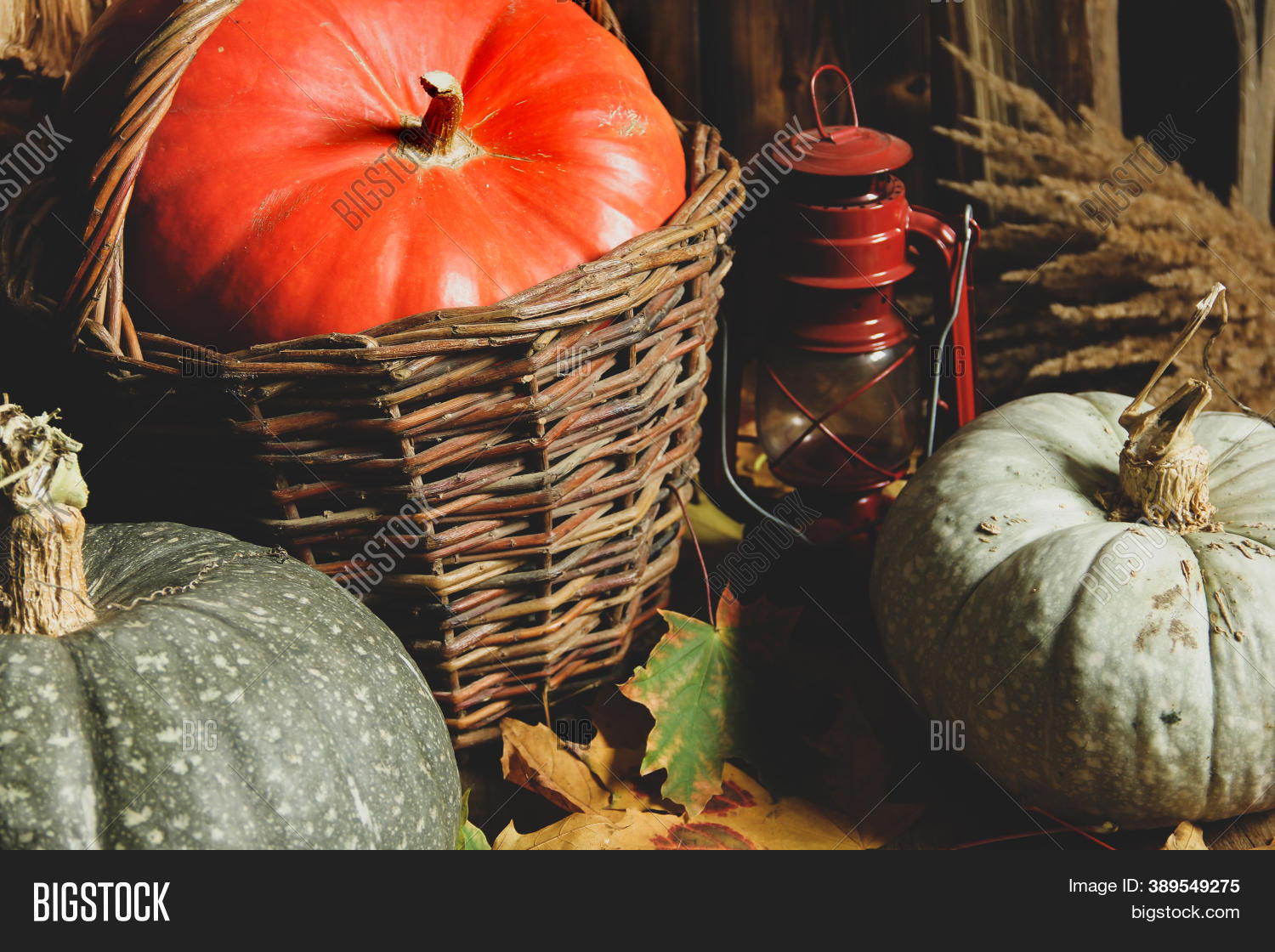Pumpkins, Basket, Image & Photo (Free Trial) | Bigstock