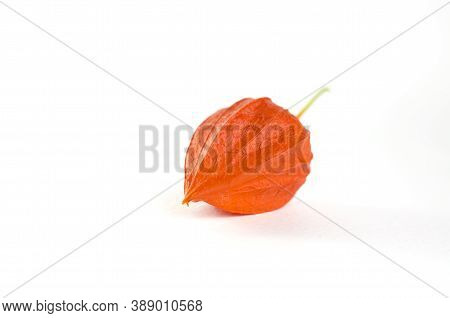 Physalis On A White Background. Ripe Berry In A Shell, Physalis Leaf, Physalis Berry Without A Shell