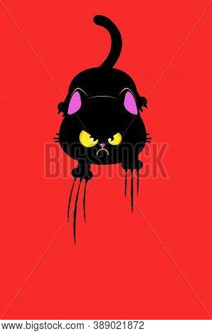 Angry Black Cat Scratching