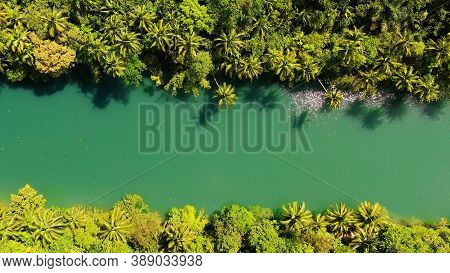 Beautiful Natural Scenery Of Loboc River In Tropical Green Forest. Bohol, Philippines.