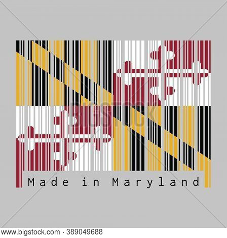 Barcode Set The Color Of Maryland Flag, Heraldic Banner Of George Calvert, 1st Baron Baltimore. Text