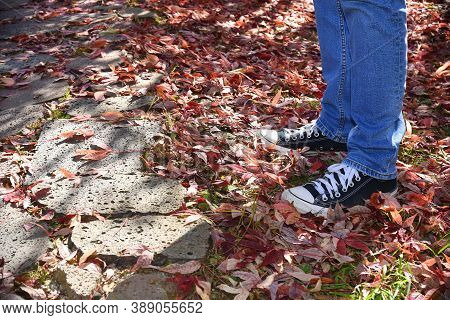 Male Legs In Jeans And Sneakers Standing On Dry Autumn Red And Yellow Foliage Side View. Copy Space