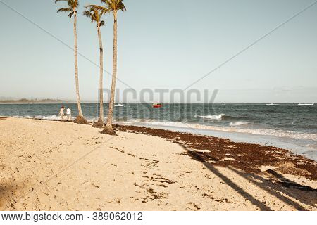 Caribbean Landscape: Morning On The Dominican Coast Of The Atlantic Ocean