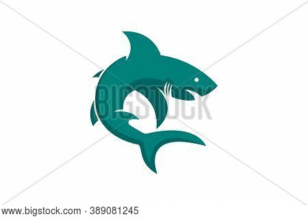 Vector Shark Fish Nice Color Illustration Eps