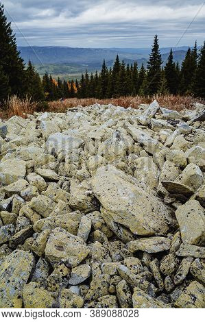 Large Kurum Stones Lie In The Autumn Forest In The Mountains, Stones Covered With Moss On The Backgr