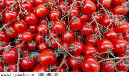Vegetable Background From Cherry Tomatoes On A Branch With Copy Space. Ripe Tomatoes Lie Beautifully