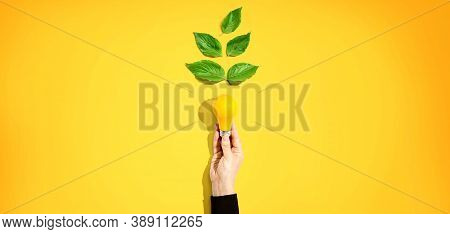 Person Holding A Light Bulbs With Green Leaves