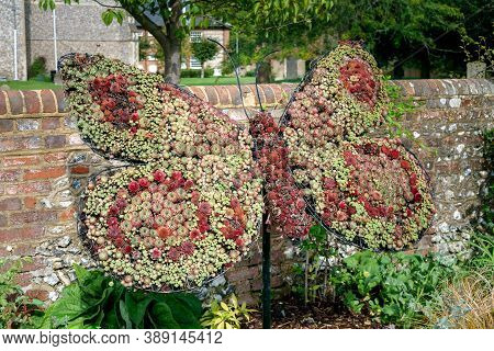 A Butterfly Statue Made Of Succulunts Plants In English Park In Amersham
